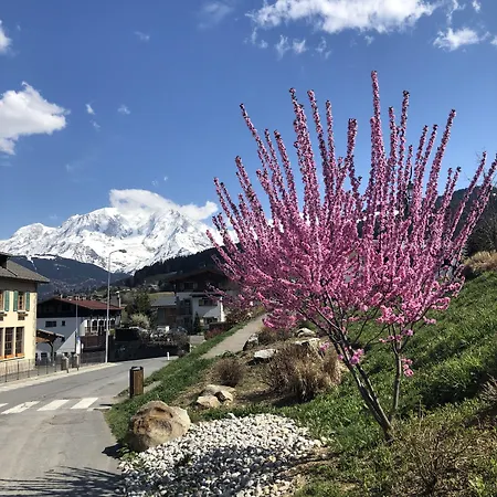 Le Floralp 3*