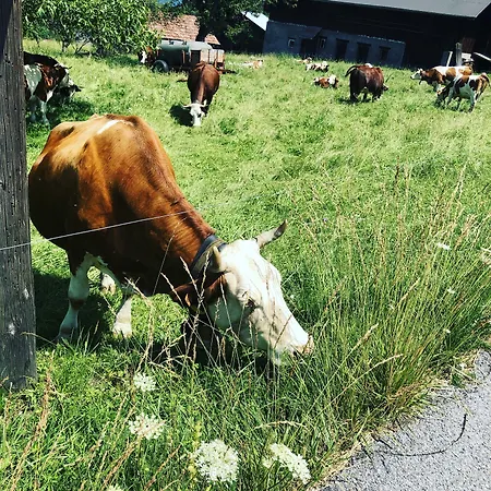 Le Floralp Lägenhetshotell