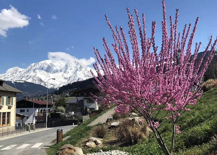 Le Floralp 3*