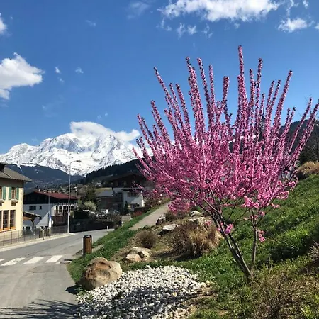Aparthotel Le Floralp 3*